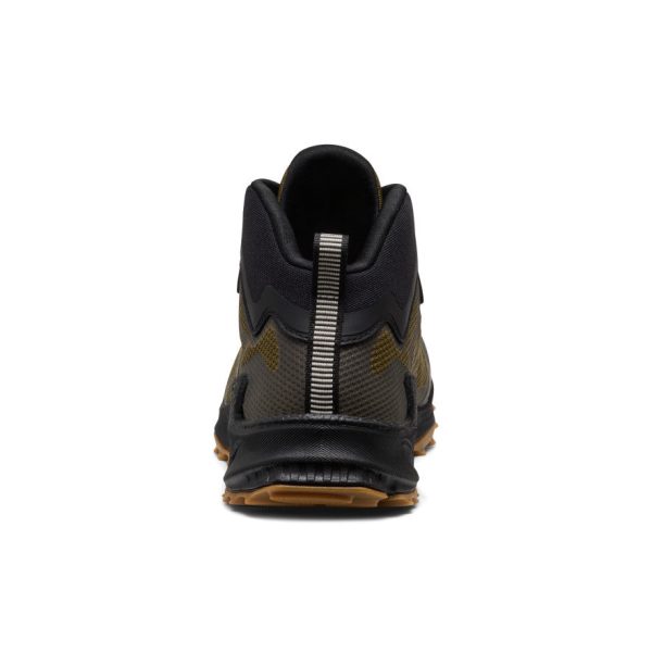 Men's Zionic NXT Waterproof Hiking Boot  |  Dark Olive/Black