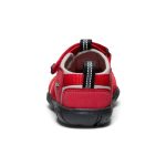 Little Kids' Seacamp II CNX  |  Ribbon Red/Alloy