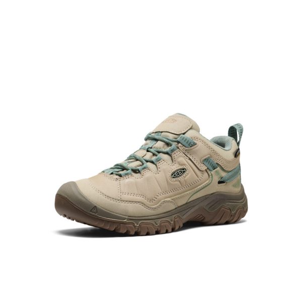 Women's Targhee IV Waterproof Hiking Shoe | Abbey Stone/Lily Pad