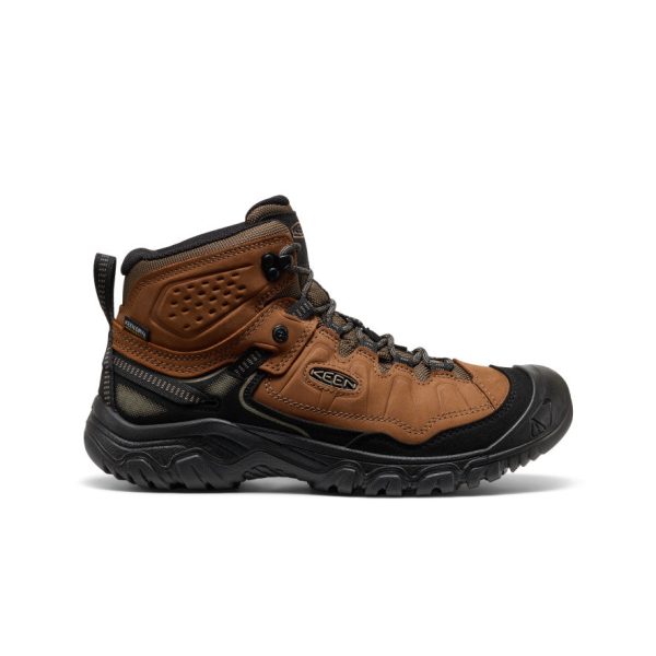 Men's Targhee IV Waterproof Hiking Boot | Bison/Black